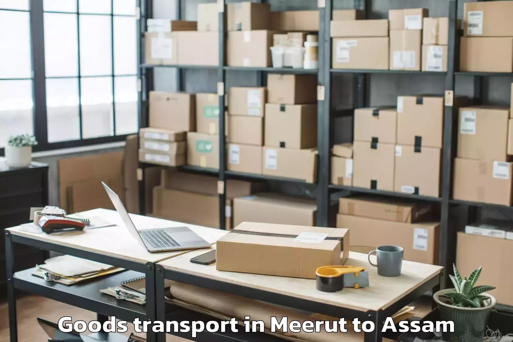 Book Your Meerut to Tezpur Goods Transport Today